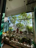 Chính Chủ Cần Bán Nhanh Căn Chung Cư Vinaconex Xuân Mai - Phường Vĩnh Phúc, Tỉnh Phú Thọ - Ảnh 3