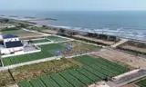 Chỉ Hơn 1.6 Tỷ Đã Có Lô Đất Biển Đẹp Tuyệt Vời Tại Quất Lâm, Thịnh Long - Ninh Bình. Lh 0981691509 S - Ảnh 4