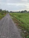 Hàng Hot Đất Thị Trấn Đức Hoà. Sổ Hồng Riêng - Ảnh 2