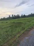 Hàng Hot Đất Thị Trấn Đức Hoà. Sổ Hồng Riêng - Ảnh 5