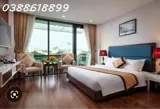 Bán Ks 4 Sao - Trần Duy Hưng - Cầu Giấy - 550M2 - Mt 15M - Dt 600Tr/tháng - 448 Tỷ - Ảnh 4