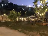 Cho Thuê Homestay Dankia Phường 7 Đà Lạt 50 Triệu/tháng - Ảnh 3