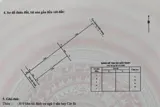 Bán Đất Lô 9 Lê Hồng Phong – Gần Chuyên Trần Phú – Giá 117 Triệu/m² - Ảnh 3
