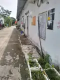 Bán Đất Mặt Tiền An Phước – Long Thành - Vị Trí Tiềm Năng Ngay Gần Sân Bay Quốc Tế Long Thành - Ảnh 2