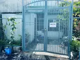 ► Siêu Phẩm Đất Dĩ An – Sổ Riêng – Giá Tốt Đầu Tư & An Cư - Ảnh 2
