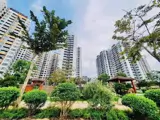 Chính Chủ Bán Nhà Vừa Ở Vừa Kinh Doanh Được Tại Xã Bình Hưng, Bình Chánh, Tp Hcm - Ảnh 4