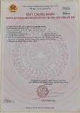Nhà Phố Khu Đắc Địa Sát Ngay Quận 1 - Ảnh 3
