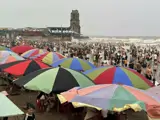 Bán Đất Biển Khu Kinh Tế Ninh Cơ – Xã Hải Xuân, Ninh Bình – Đón Đầu Siêu Tiềm Năng Tăng Giá - ảnh 5