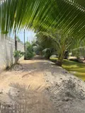 Siêu Phẩm Nhà Vườn Nghỉ Dưỡng Củ Chi – Sát Hóc Môn – Chỉ 15 Tỷ‼ - Ảnh 4