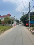 Đầu Tư 4 Lô Đất Mặt Tiền Võ Cây Dương, Thạnh Xuân, Q12 Chỉ 4.6 Tỷ - Ảnh 2