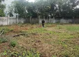 Ax51 [ Tọa Độ Vàng Đầu Tư] Mặt Tiền Lê Tấn Bê Bình Tân – 3.000M2 (50M X 60M) - Ảnh 2