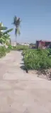 Đất Đẹp Trường Thành - Sát Kcn Tràng Duệ - Vị Trí Vàng Đón Sóng Tăng Giá - Đầu Tư Sinh Lời Cực Mạnh - Ảnh 3
