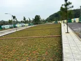 Siêu Phẩm Đầu Tư Fo Phú Cát Sát Chợ Long Phú Đón Sóng Ql21 Metro 05 100M Nhỉnh 2Tỷ - Ảnh 1