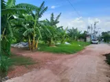 Quỹ Đất Lớn 6.300M² Gần Chợ Xuân Thới Thượng – Giá Chỉ 25 Tỷ - Ảnh 2