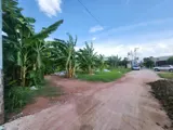 Quỹ Đất Lớn 6.300M² Gần Chợ Xuân Thới Thượng – Giá Chỉ 25 Tỷ - Ảnh 3