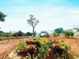 Bán Nhanh Giá Đầu Tư 14Tr 863M Yên Xuân Quốc Oai Sát Trục Chính View Thoáng Mát Đường 3 Ôtô - Ảnh 1