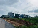 Đất Mặt Tiền Kênh Tiêu – Xuân Thới Đông, Hóc Môn – 969M² Thổ Cư Chỉ 24 Tỷ - Ảnh 2