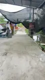 Đầu Tư Sinh Lời- Chính Chủ Bán Đất Tại Rạch Miểu Ông, Phường Long Tuyền, Bình Thuỷ, Cần Thơ - Ảnh 2