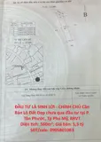 Đầu Tư Là Sinh Lời - Chính Chủ Cần Bán Lô Đất Đẹp Chưa Qua Đầu Tư Tại P. Tân Phước, Tp Phú Mỹ, Brvt - Ảnh 1