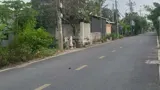 Quỹ Đất Vàng 5.500M² Full Thổ Cư – Bà Điểm Hóc Môn – Tách Lô / Bán Sỉ Đều Đẹp - Ảnh 3