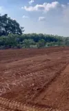 Chủ Cần Bán Hơn 9 Sào Đất, Mặt Tiền Nhựa, Đất Phủ Hồng. Giá Chỉ 225 Triệu - Ảnh 4