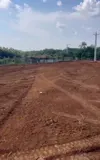 Chủ Cần Bán Hơn 9 Sào Đất, Mặt Tiền Nhựa, Đất Phủ Hồng. Giá Chỉ 225 Triệu - Ảnh 3