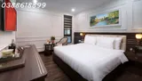 Bán Khách Sạn 4* Trần Thái Tông - 11 Tầng - Mt 20M - Lô Góc - Dt 1,3 Tỷ/th - Ảnh 3