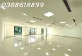 Bán Tòa Building Hạng A Mặt Phố Xã Đàn 10 Tầng - 400M2 - Mt 14M - Dòng Tiền 7.2 Tỷ/năm - Ảnh 5