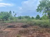 Bán Thu Hồi Vốn Lô Đất Trồng Cây Lâu Năm Giá 1,95 Tỷ - Ảnh 5