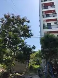 Bán Đất Nam Việt Á 100M², Sát Lô Góc Gần Sông, Vị Trí Đẹp, Giá 10,5 Tỷ - ảnh 1