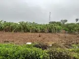 Đất Đẹp – Giá Tốt- Chính Chủ Bán Đất Tại Xã Sông Nhạn – Huyện Cẩm Mỹ - Tỉnh Đồng Nai - Ảnh 5