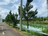 Giá Siêu Hấp Dẫn- Chính Chủ Cần Bán Nhanh 2 Lô Đất Liền Kề Vị Trí Tại Phường 2, Tp Bảo Lộc, Tỉnh - Ảnh 4