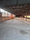 Xưởng Đa Phúc, Văn Giang, Dt2800m2, Mt40m, Ôtô Kd, 3.7 Tỷ Hưng Yên - Ảnh 2