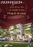Nhà Phố Vcn Nha Trang Qua Lăng Kính Của Những "Lão Làng" Kinh Doanh Mặt Tiền: Đắt Xắt Ra Miếng Hay - ảnh 3