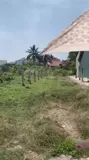Đất Đẹp – Giá Tốt- Chính Chủ Cần Bán Đất Tại Xã An Lục Long, Huyện Châu Thành, Long An - Ảnh 3