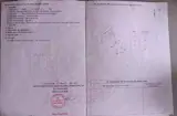 Bán Nhà Chính Chủ - Mặt Tiền Khu Dân Cư Đặng Quỳnh, Phố Tân Kim, Xã Cần Giuộc, Tây Ninh - Ảnh 2