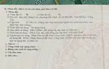 Bán Đất Diện Tích Lớn Tại Trung Tâm Phường Hắc Dịch – Tx Phú Mỹ, Bà Rịa Vũng Tàu - Ảnh 1