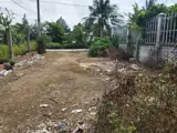 Bán Đất Sổ Hồng 308M² Đường Phạm Hồng Thái Tp Sa Đéc, Đồng Tháp. Giá Gần 2 Tỷ - Ảnh 2