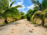 Bán Đất Chính Chủ 300M² (10X30) Full Thổ Cư Tại Hựu Thạnh, Gần Đại Học Tân Tạo, Kcn Tân Đức, Xe Hơi - Ảnh 1