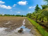 Bán Đất Chính Chủ 300M² (10X30) Full Thổ Cư Tại Hựu Thạnh, Gần Đại Học Tân Tạo, Kcn Tân Đức, Xe Hơi - Ảnh 3
