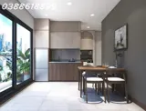 Building Mp Liễu Giai - Ba Đình - 10 Tầng Thang Máy - 50 Phòng Cao Cấp - Dòng Tiền Khủng - Ô Tô - Ảnh 2