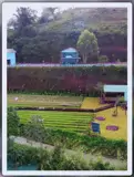 Cho Thuê Tổ Hợp Cafe & Homestay Tại Vạn Thành, Đà Lạt - Ảnh 4