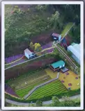 Cho Thuê Tổ Hợp Cafe & Homestay Tại Vạn Thành, Đà Lạt - Ảnh 3