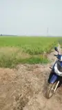 Đầu Tư Là Sinh Lời - Chính Chủ Cần Bán Lô Đất Xã Tân Hoà, Huyện Tân Thạnh, Long An - Ảnh 5