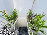 Nhà 30M - Trung Tâm Quận Hai Bà Trưng- Sát Phố Cổ - Chỉ 150M Ra Mặt Phố Trần Khát Chân - 5 Tầng 3 - ảnh 4