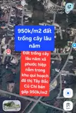 Bán Gấp 14.250M² Đất Trồng Cây Lâu Năm Tại Xã Phước Hiệp, Huyện Củ Chi, Tp Hồ Chí Minh - Chỉ - Ảnh 1