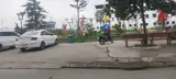 Bán Đất 3 Mặt Thoáng – Gần Bùi Viện – Cạnh Công Viên Nam Hải - Ảnh 1