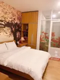 Bán Nhà Mặt Tiền Hẻm 8M Nguyễn Thái Bình - Khu K300, 8X30m, 6 Tầng - 30 Phòng, 42 Tỷ - Ảnh 4