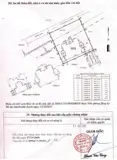 Siêu Biệt Thự Sân Vườn 731M² – An Phú Đông – Không Gian Sống Đẳng Cấp - Ảnh 4