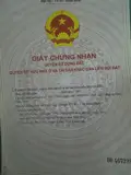 Chính Chủ Cần Bán Lô Đất Gần Khu Di Tích Đền Trần, Nam Định - ảnh 2